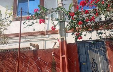 فروش دوطبقه260 متر بنا/ویلا شهری/خیابان فردوسی شرقی