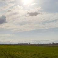 اجاره زمین 12 هکتار برای صیفی جات