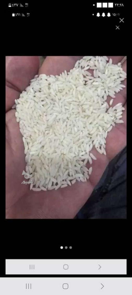 برنج ایرانی عنبربو معطر