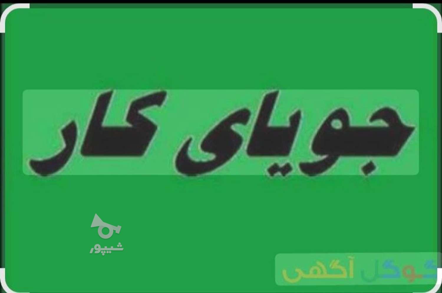 جویای کار منشی گری - undefined