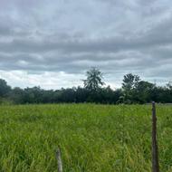 فروش زمین مسکونی 3000 متر در مرزک