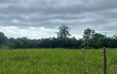 فروش زمین مسکونی 3000 متر در مرزک