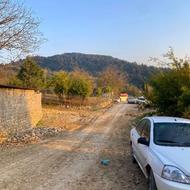 زمین هزار متری نزدیک بافت روستای سرکت بعد شکتا