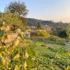 زمین داخل بافت روستای سرکت بعد شکتا