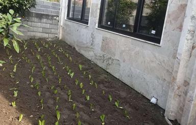 ویلای شخصی ساز در شهر دابودشت