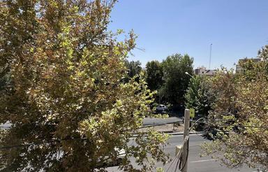 اجاره واحد 130 متری مسکونی اداری بر خیابان جی غربی