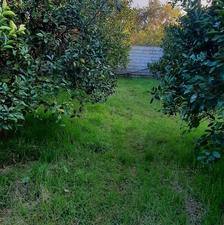 فروش زمین مسکونی 1400 متر در ارمیچ کلا