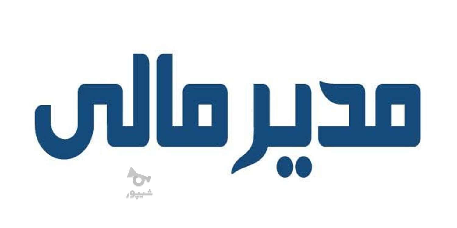 مدیر مالی (جویای کار) - undefined