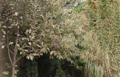 120و130/ 5خواب/ ویو کوه جنگل/ کناررودخانه