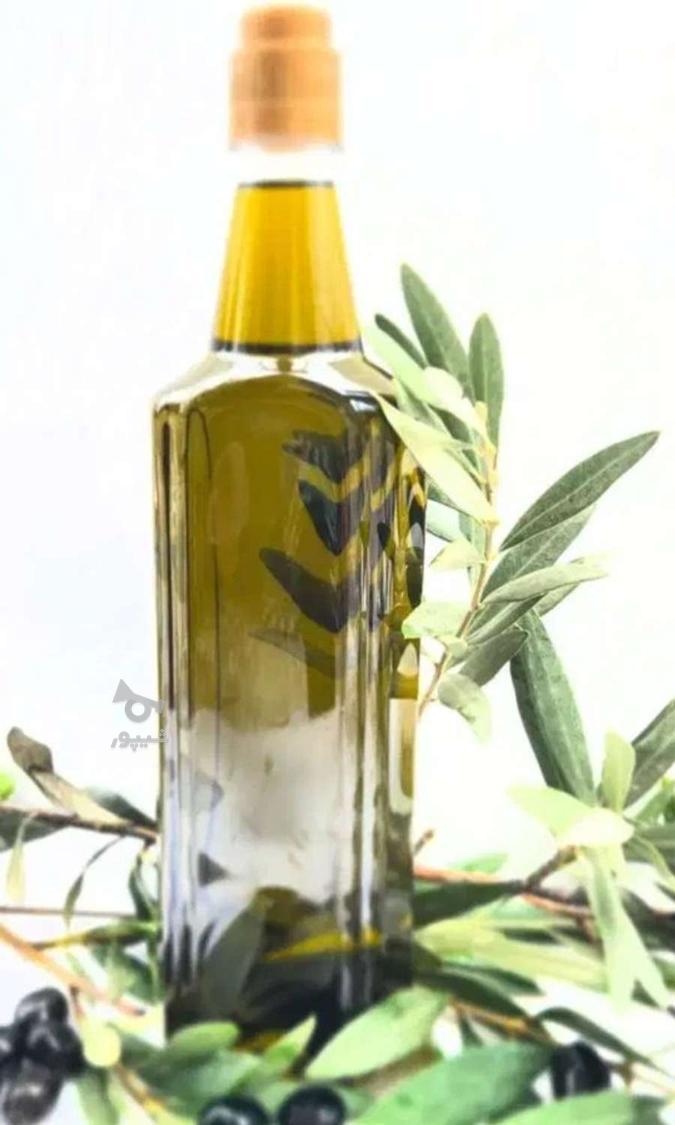 روغن زیتون سنتی خانگی امسال