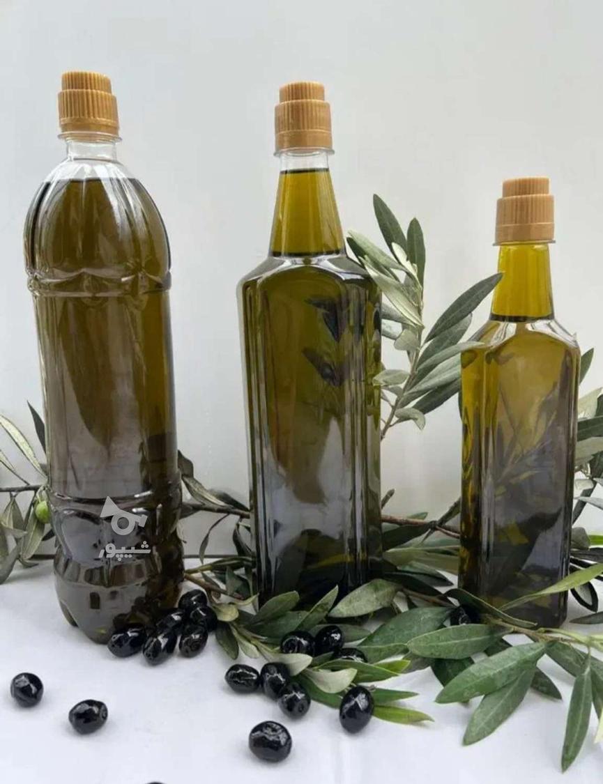 روغن زیتون سنتی خانگی امسال