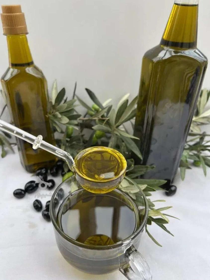 روغن زیتون سنتی خانگی امسال