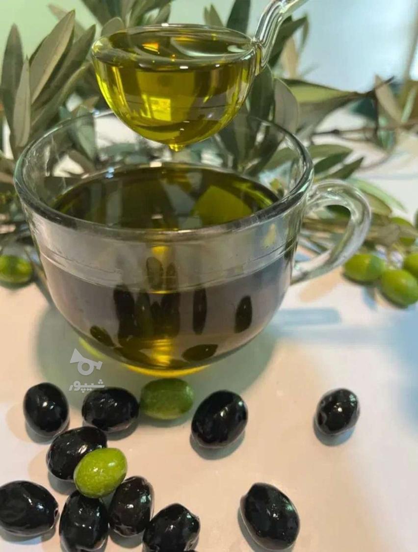 روغن زیتون سنتی خانگی امسال