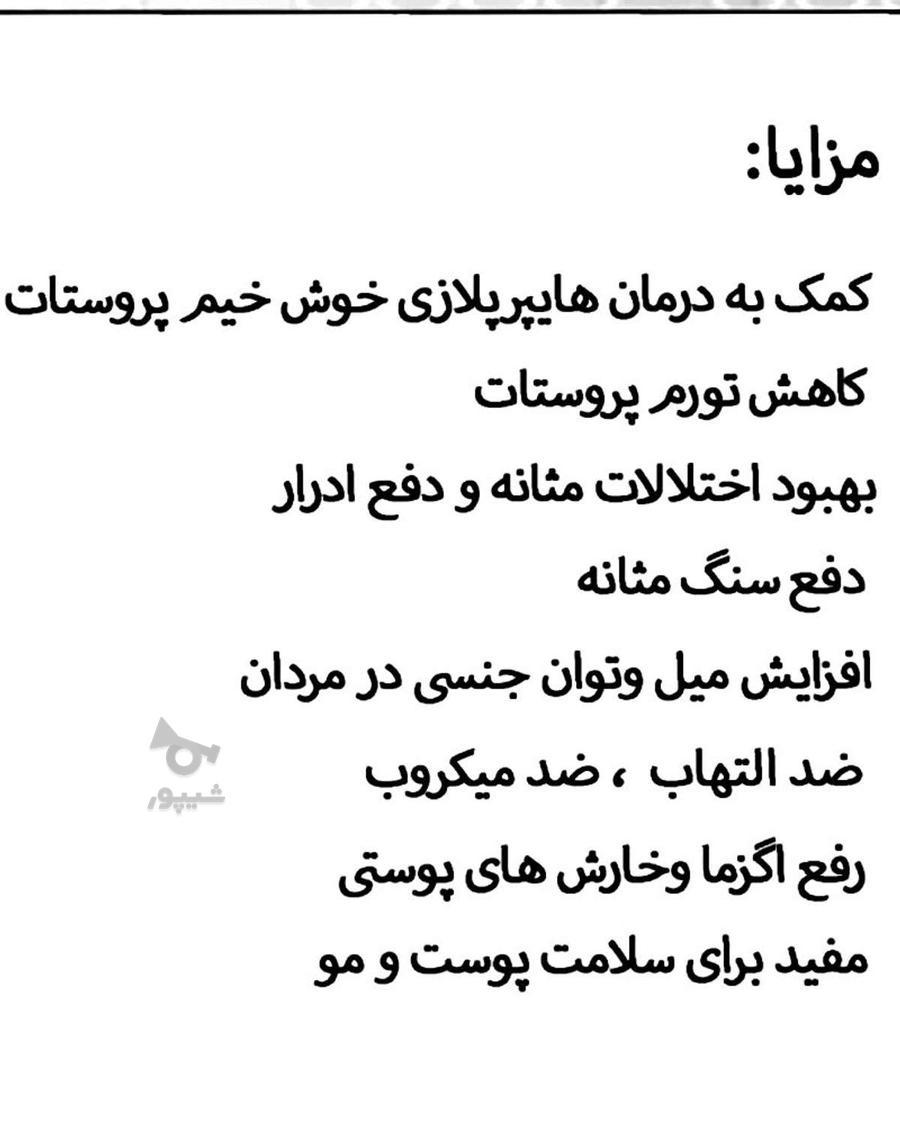 روغن تخم کدو