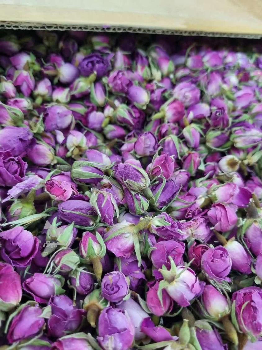 ادویه هاب با کیفیت بانوی کویر