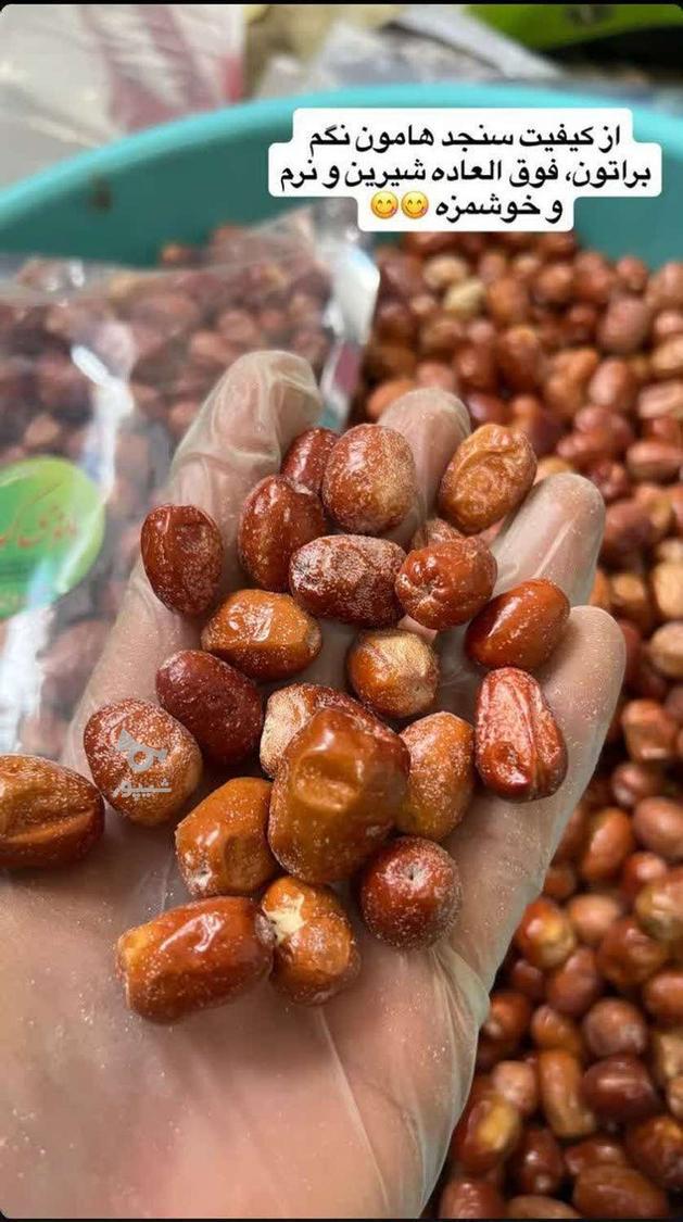 ادویه هاب با کیفیت بانوی کویر