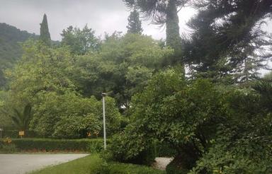 هم خانه تمیز