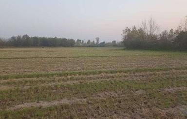 فروش زمین کشاورزی 30000 متر در کنارسر