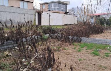 فروش زمین کشاورزی 300 متر در پایین درویش خاک