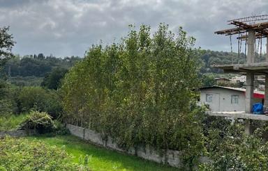 290 متر زمین بافت در شکتا زیرقیمت به معنای واقعی