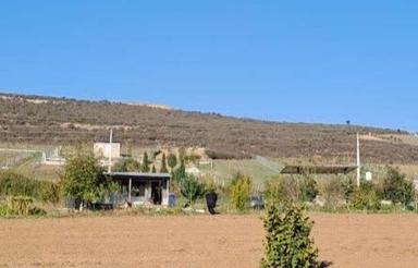 فروش زمین درییلاق خوش آب وهوای دودانگه علی آباد