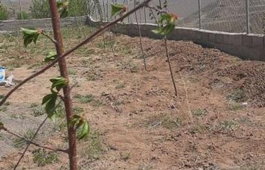 زمین باغی در طالقان600متر