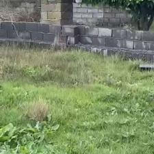 فروش زمین مسکونی 240 متر در منطقه آزاد ساحلی کرفون بابلسر