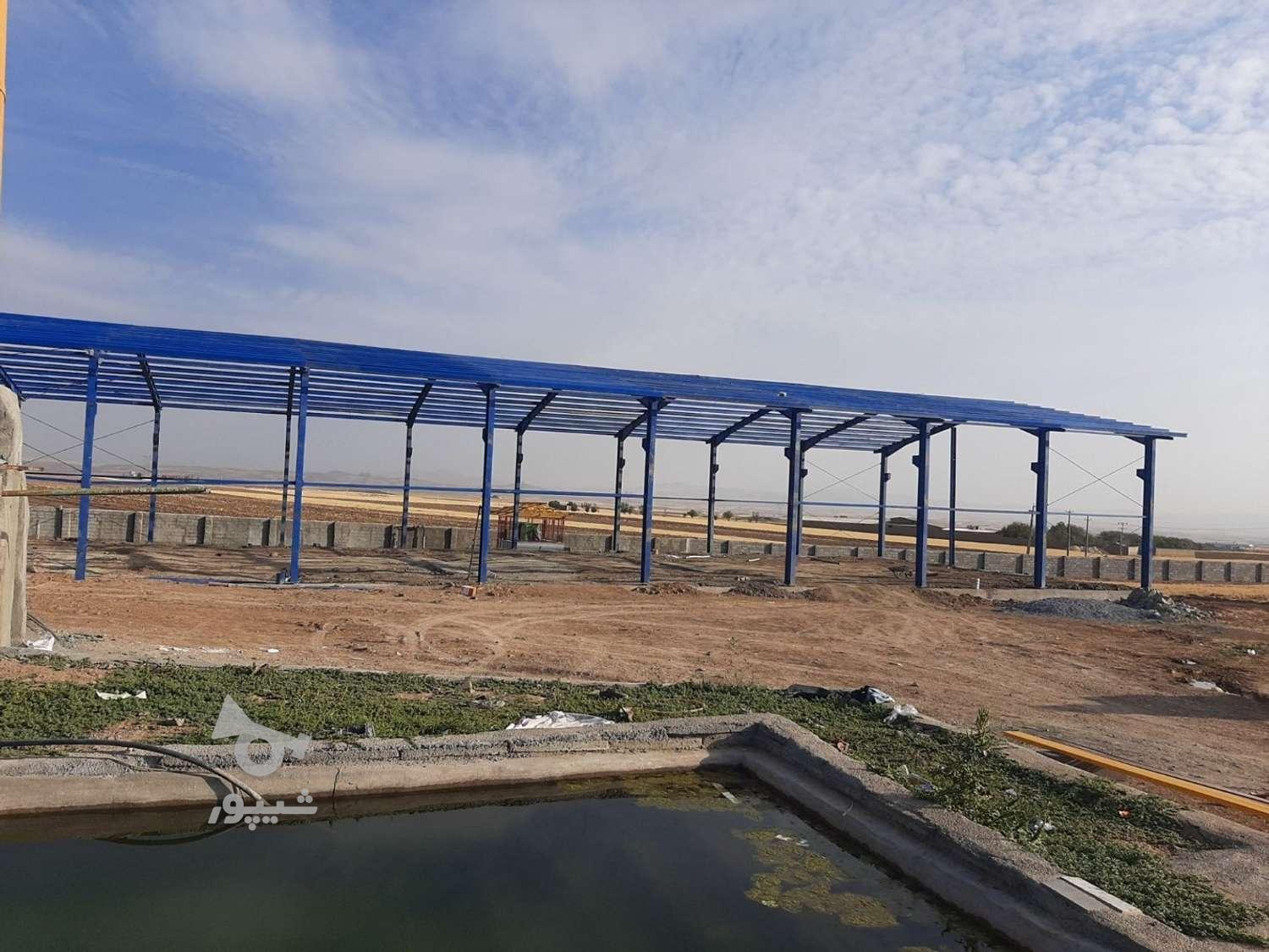 سازه فلزی نو و دست دوم در حد نو