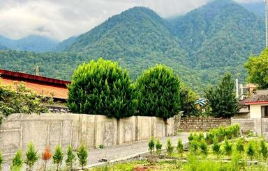 250 متر زمین بافت مسکونی با سند و دید جنگل چلندر