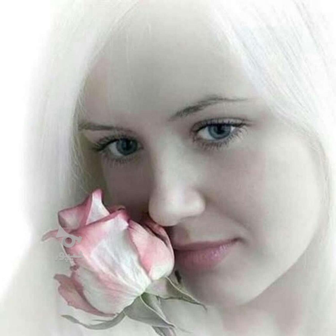 جویـــــای کار - undefined