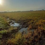 فروش زمین کشاورزی 13000 متر در قلیان کلا