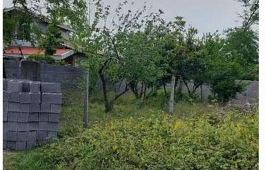 فروش زمین مسکونی 350 متر در جوبنه کد 3605