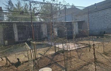 فروش زمین مسکونی 200 متر در آنسرمحله