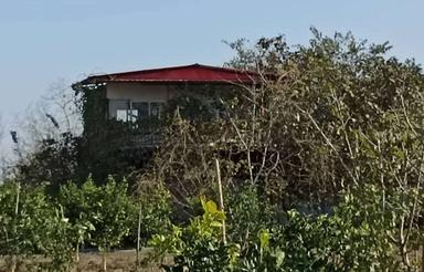 فروش زمین کشاورزی 30000 متر در مرکز شهر