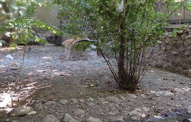 980 متر زمین بی همتا در بر