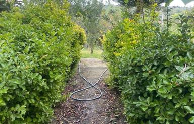 فروش ویلا 1800زمین 120بنا در گل افشان