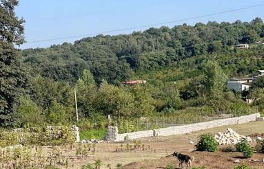 فروش زمین مسکونی 300سند دار در کلیجان رستاق سنگبن سلیم شیخ