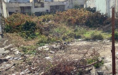 فروش زمین مسکونی 312 متر در پیوندی