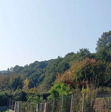 فروش زمین باغچه ای500 متر در شکتا