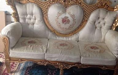 هم خانه خانم