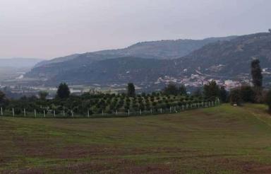 فروش زمین کشاورزی 7000 متر در کلیجان رستاق