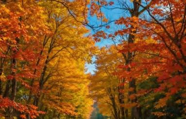 270 متر ویلا در شهریار سند تک برگ