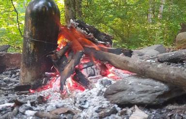 ویلا جنگلی دربست وصل به رودخانه