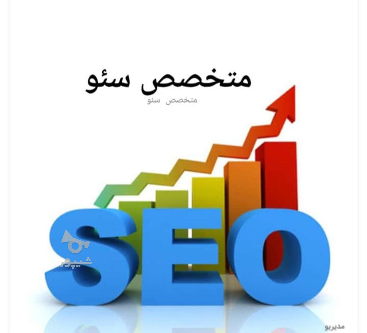 جویای کار سئو کار هستم - امیر منتظری