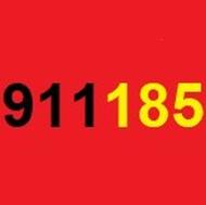 09111858231