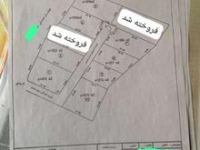 فروش زمین مسکونی 250 متر در کنسکو در شیپور