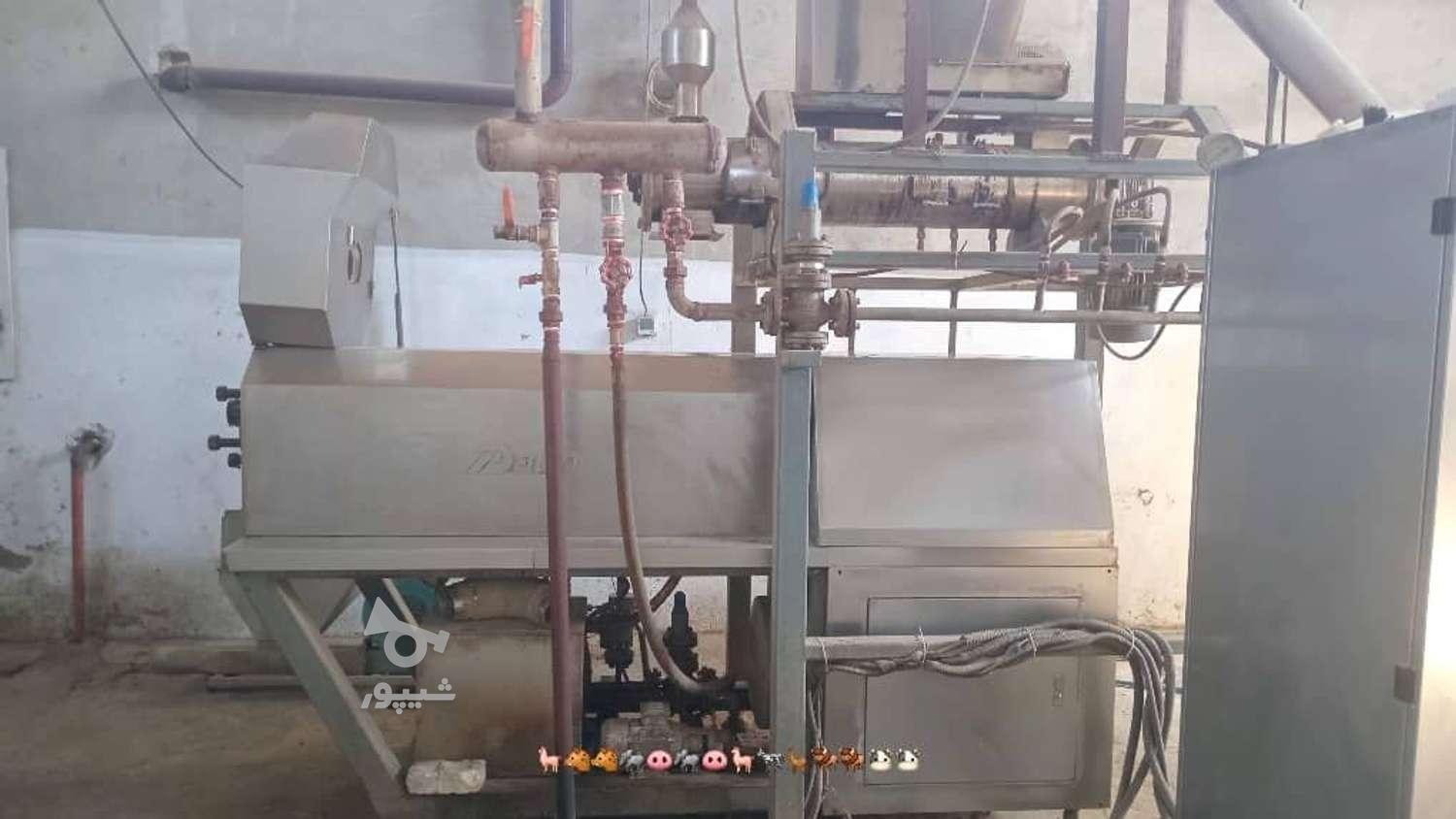 مسئول فنی دامپزشک - undefined