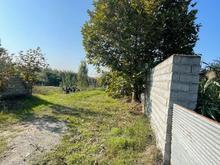 فروش زمین کشاورزی 370 متر در میرود در شیپور