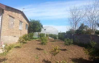 گلخانه لیمو ترش