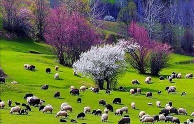 همکف راه جدا.105متر شهرک حجت فتحی